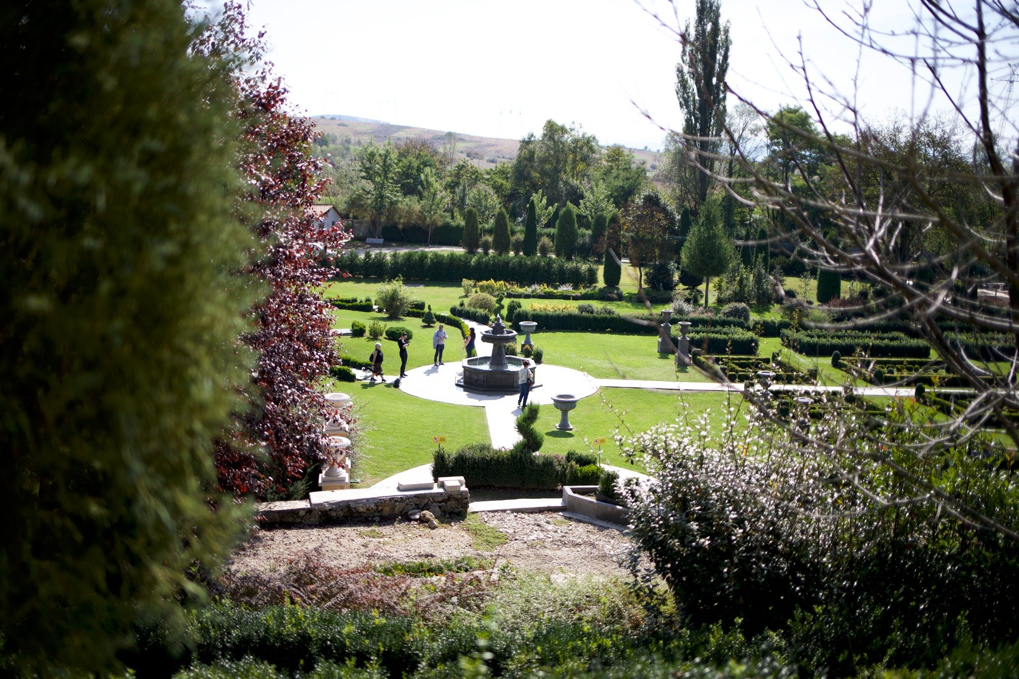 Attraction Image